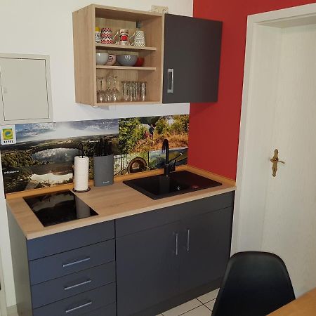 Zimmerappartement "Rose" - Ferienwohnungen Wagner & Gaul Daleiden Экстерьер фото